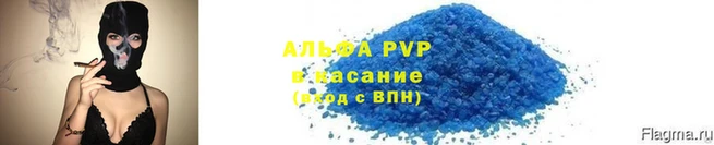 гидра Волоколамск
