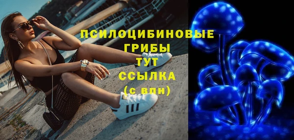 гидра Волоколамск